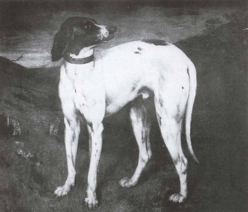 Gustave Courbet Dog oil painting image